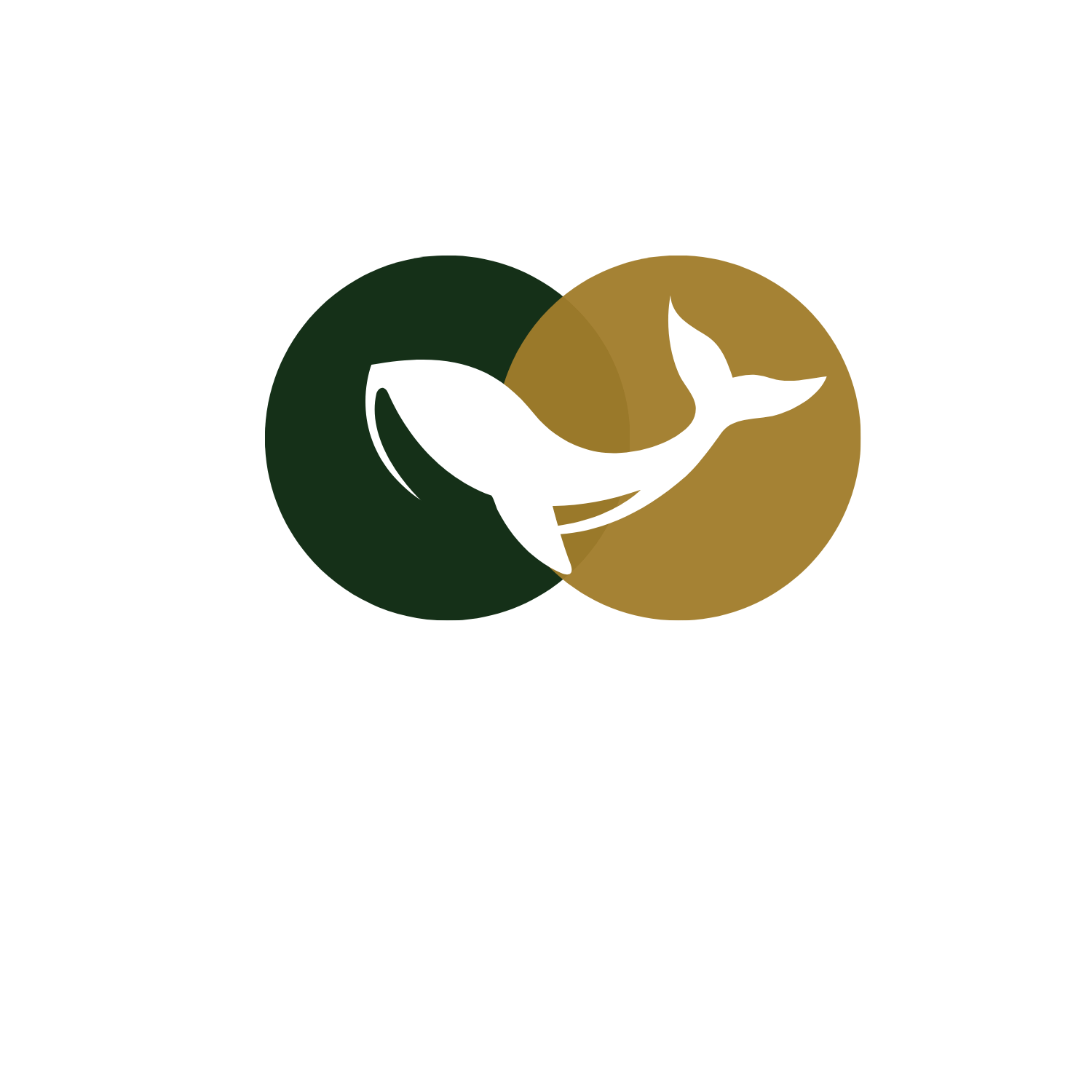 Alhaj Youssef Enterprises